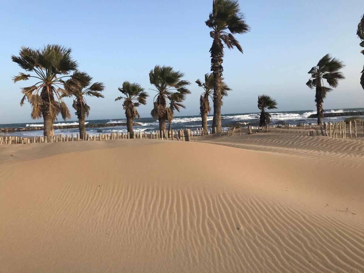 Apartment Newly Renovated Aircond-Wifi-Pool-Sea View-150M To Beaches- Saint Aygulf Exterior photo